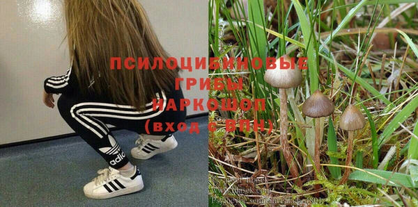 прущая мука Верея